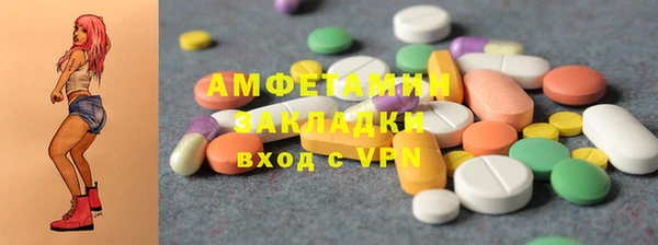 твердый Бородино